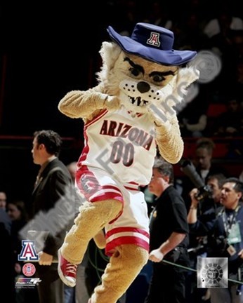 Framed University of Arizona -  Wildcats Mascot, Wilber 2005 Print
