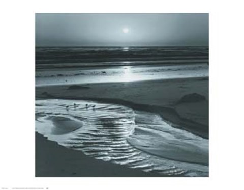 Framed Birds on a Beach Print