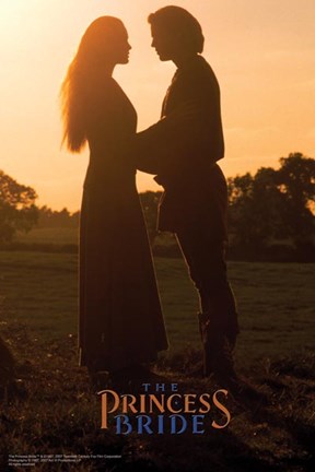 Framed Princess Bride Sunset Print