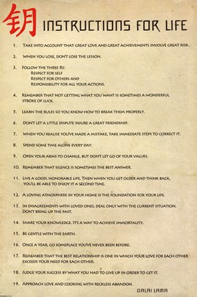 Framed Instructions for Life Dalai La Print