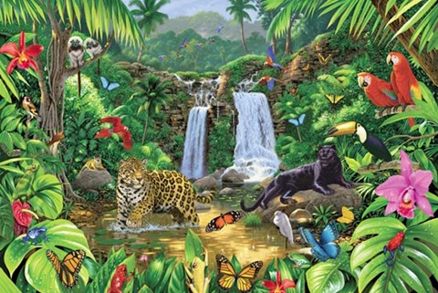 Framed Harmony (Rain Forest) Print