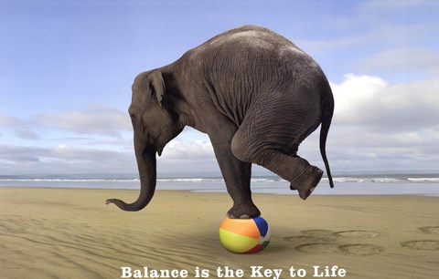 Framed Balance Is The Key - Elephant Print