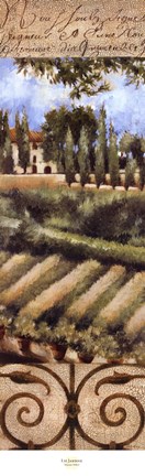 Framed Tuscany Villa I Print