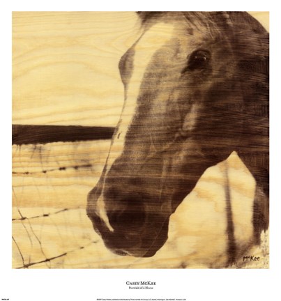 Framed Portrait of a Horse Print