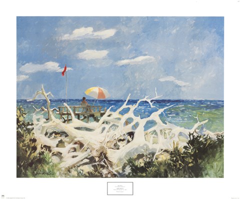 Framed Seacastle Print