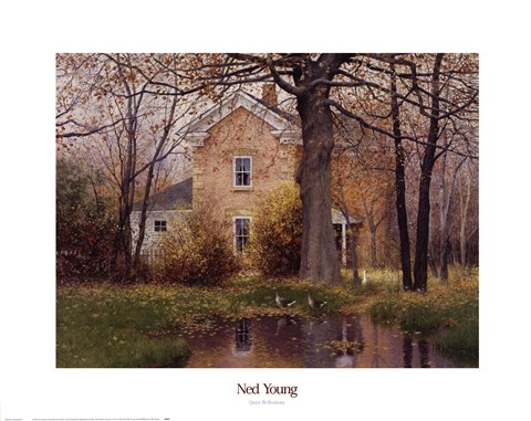 Framed Quiet Reflections Print