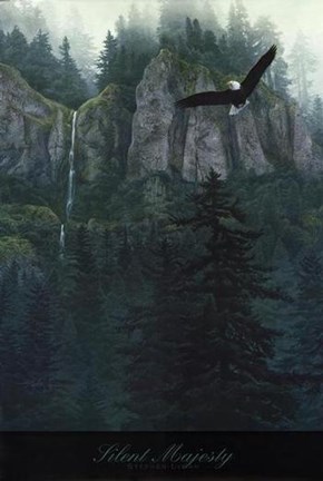 Framed Stephen Lyman - Silent Majesty 36x24 Print