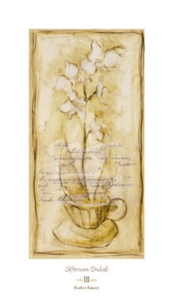 Framed Afternoon Orchids III Print