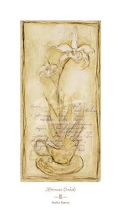 Framed Afternoon Orchids II Print