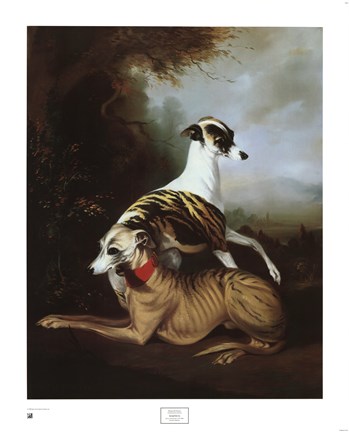 Framed Whippets Print