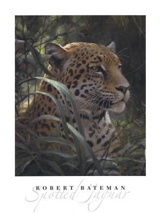 Framed Symbol of the Rainforest (detail) Print