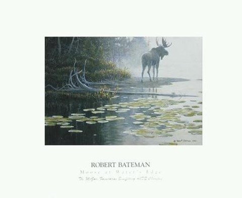 Framed Moose at Water's Edge Print