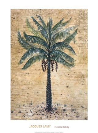 Framed Moroccan Ecstasy Print