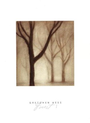 Framed Forest I Print