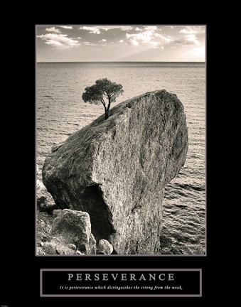 Framed Perseverance - Lone Pinyon Tree Print