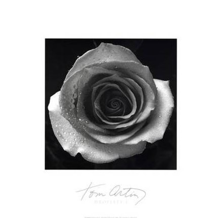 Framed Droplets I Print