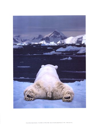 Framed Dream of a Polar Bear Print