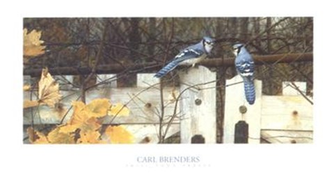 Framed Talk on the Old Fence (detail) Print