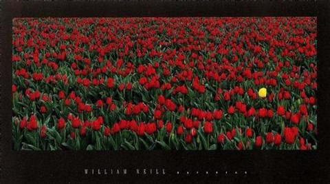 Framed Daybreak Print