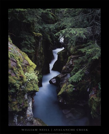 Framed Avalanche Creek Print