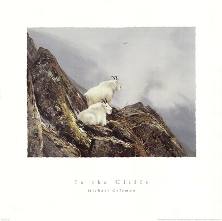 Framed In the Cliffs Print