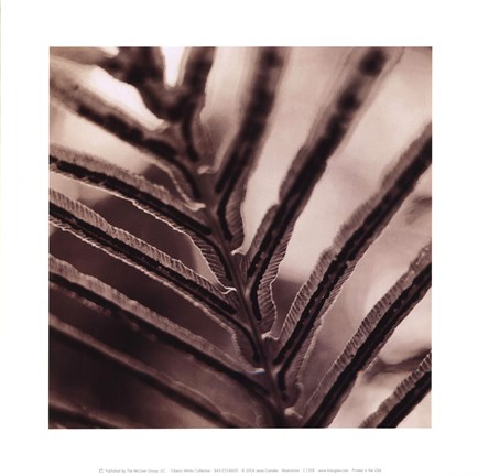 Framed Abstraction Print