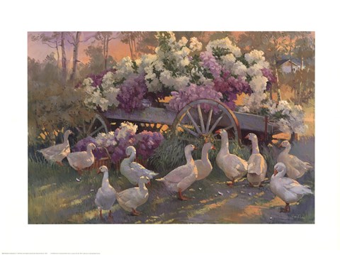 Framed Afternoon Congregation Print