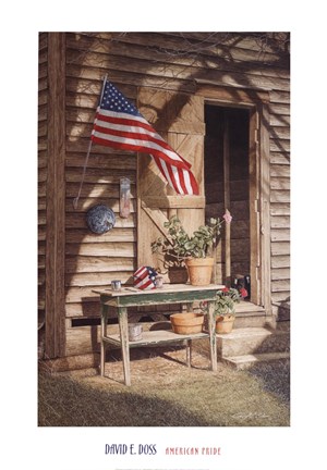 Framed American Pride Print