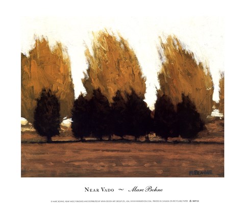 Framed Near Vado Print