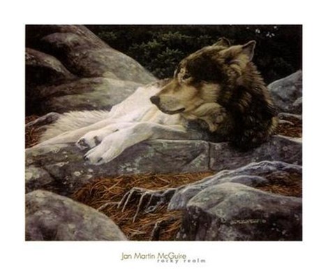 Framed Rocky Realm Print