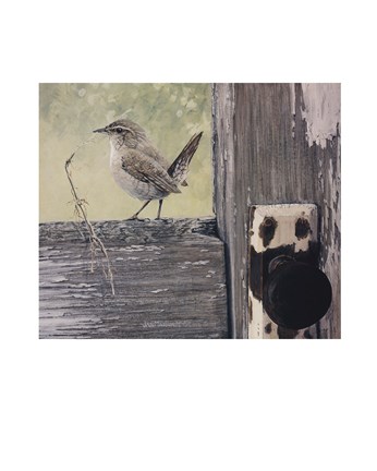 Framed House Wren Print