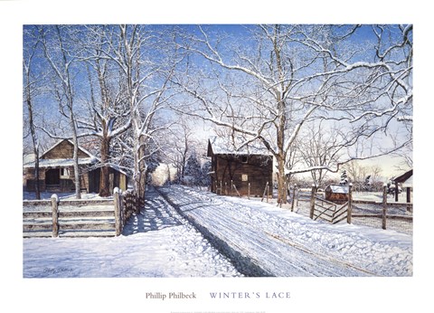 Framed Winter's Lace Print