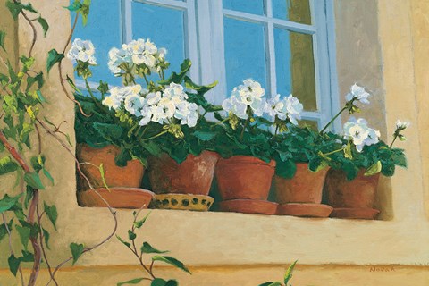 Framed Chateau Creancey Window Print