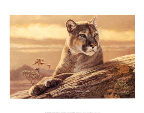 Framed Desert Sunrise Print