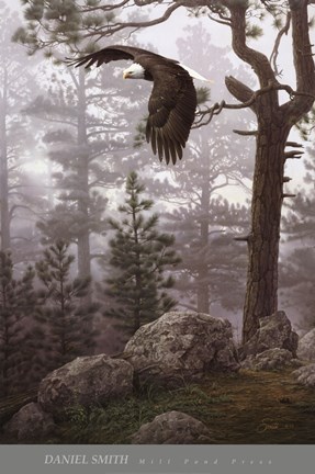 Framed Shrouded Forest (detail) Print