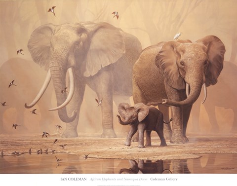 Framed African Elephants and Namaqua Doves Print