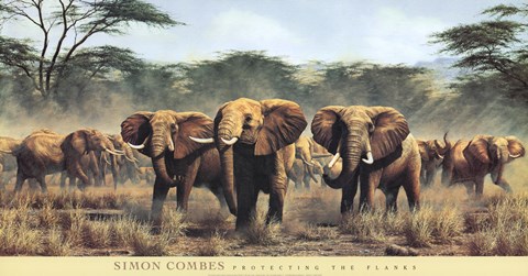 Framed Protecting the Flanks Print