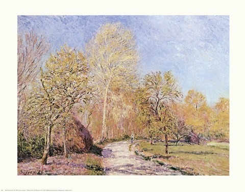 Framed Autumn Landscape Print