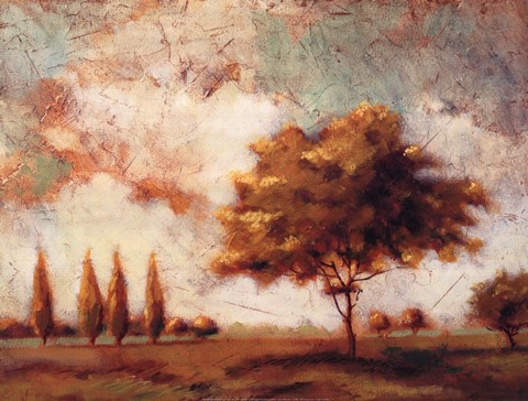 Framed Tuscan Afternoon I Print