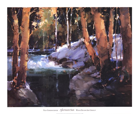 Framed Afternoon Sun Print