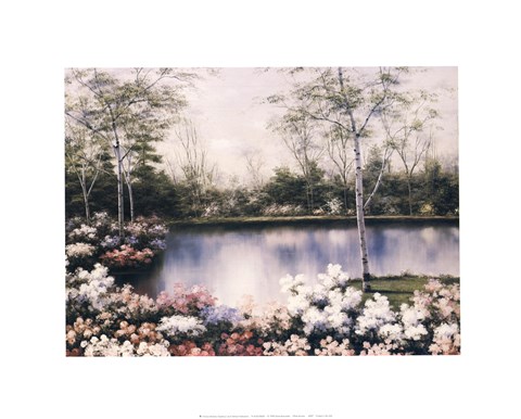 Framed White Birches Print