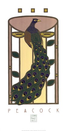 Framed Peacock Print