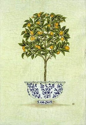 Framed Kumquat Topiary Print
