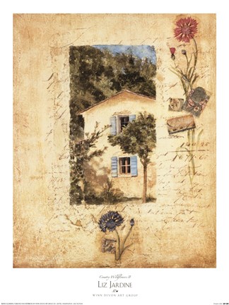 Framed Country Wildflowers II Print