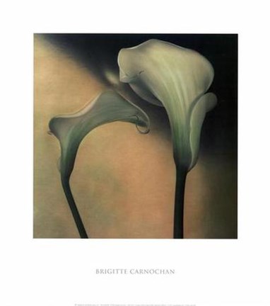 Framed Calla Lily III Print