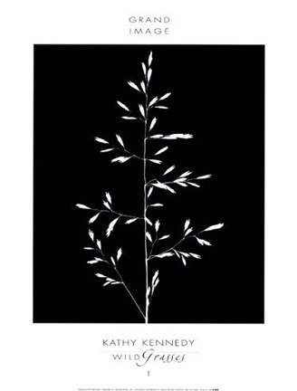 Framed Wild Grasses I Print