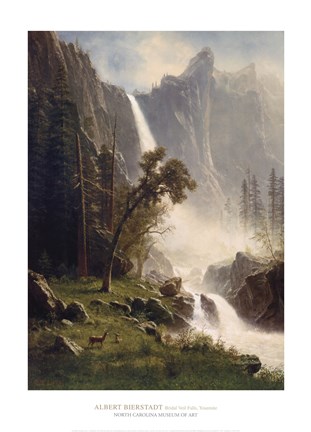 Framed Bridal Veil Falls, Yosemite Print