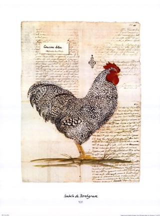 Framed Coucou Bleu Print