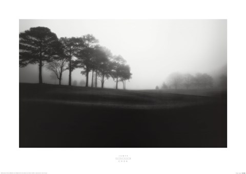 Framed Fog Tree Study III Print