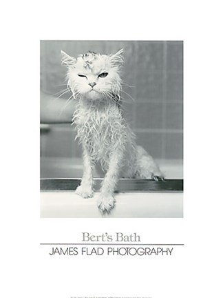 Framed Bert's Bath Print